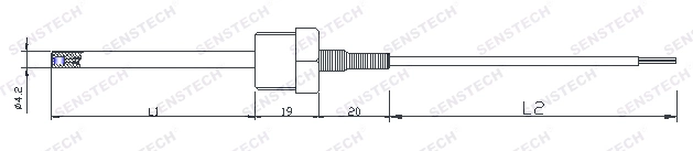 2-Wire PT100 Rtd Sensor Temperature Probe 1/2&quot;NPT 20mm 30mm