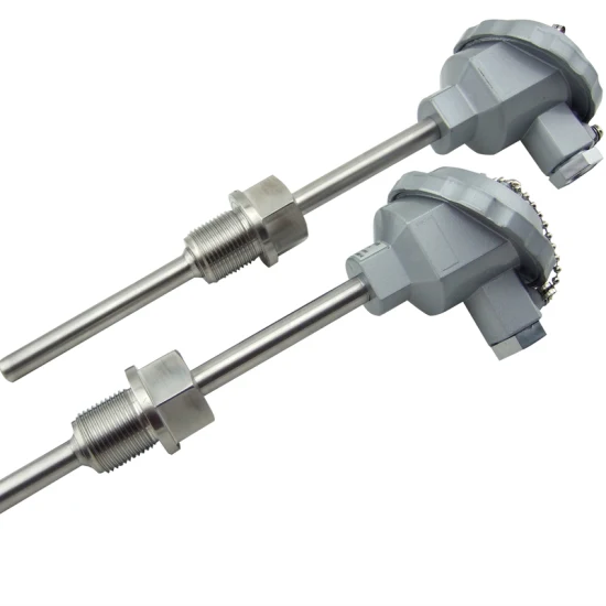 High Temperature Meter Thermocouple and Thermal Resistance Rtd Temperature Sensor with B S K PT100 Type