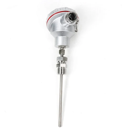 Rtd PT100 Temperature Sensor Probe 1/2 NPT Thread Thermocouple