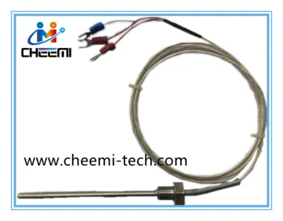 Screw-in Rtd PT20 Temperature Probes with Terminal Head 3-Wire